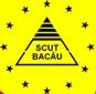 SCUT BACAU